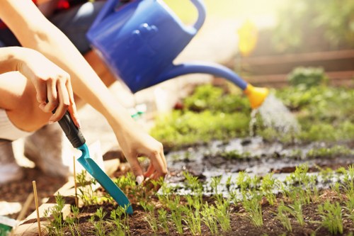 Professional planting services in Brentcross for a garden border