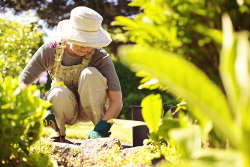 Seasonal hedge shaping in Brentcross property landscaping