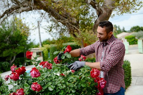 Garden maintenance tasks in Brentcross including hedge trimming and lawn care