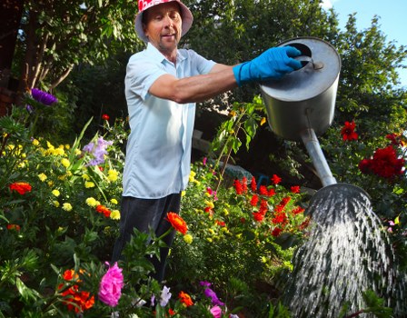 User control over cookie settings for Landscapers Brentcross