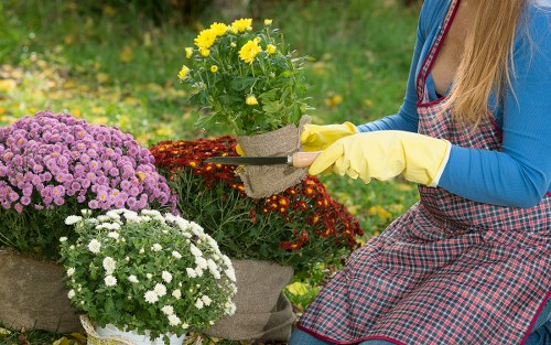 Charity donation and material recovery from a Brentcross landscaping project