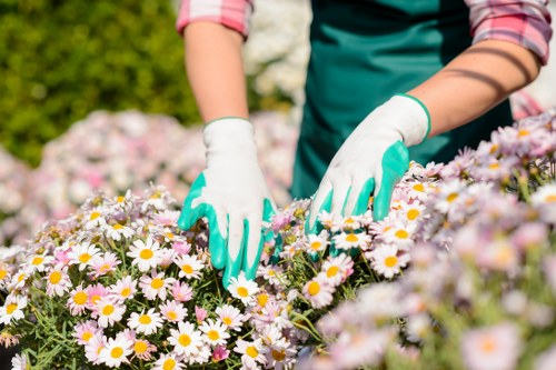 Secure payment interface for Landscapers Brentcross with protected checkout features