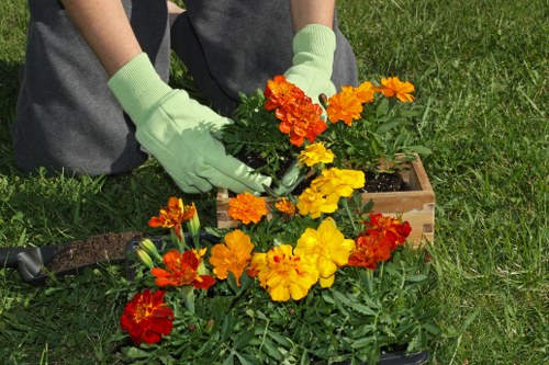 Pruning and border maintenance in a Brentcross outdoor space