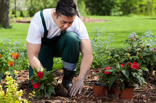 Professional hedge maintenance in Brentcross suburban setting