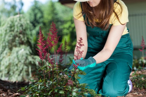 Modern landscape gardening features in Brentcross