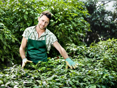 Garden waste and debris removal in Brentcross