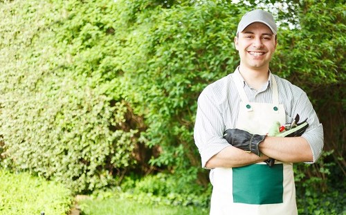 Applying lawn feed and improving soil health in Brentcross garden