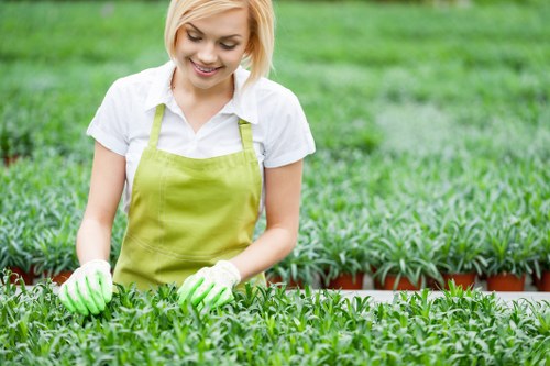 Accessibility support and request process for landscaping services in Brentcross