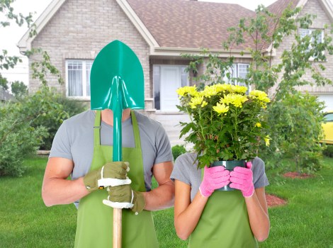 Professional lawn care and edging in a Brentcross garden