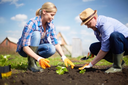 Performance monitoring and website improvement for Landscapers Brentcross