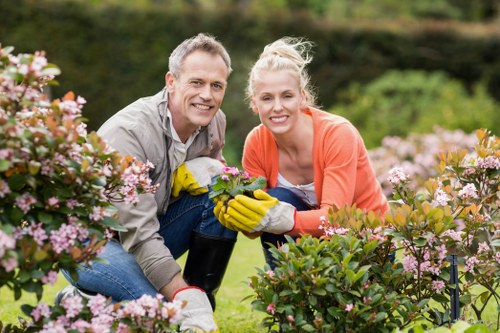 Planning stage for a garden renovation in Brentcross